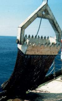Steel dredge with chain bag